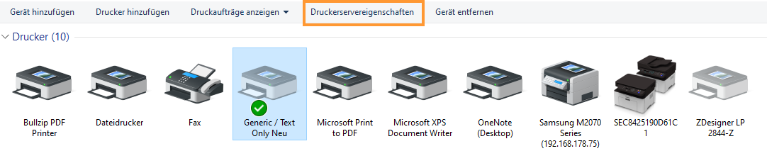 Druckerservereigenschaften